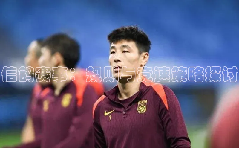 信鸽赛事：规则与竞速策略探讨