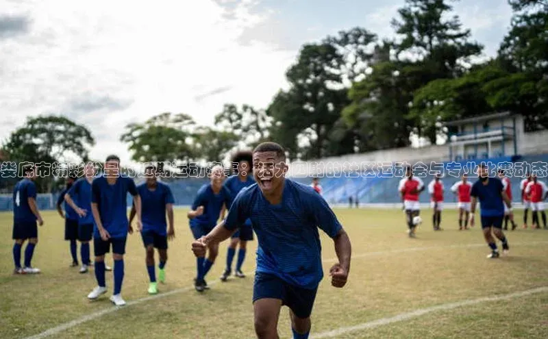 爱游戏官方网站入口登录