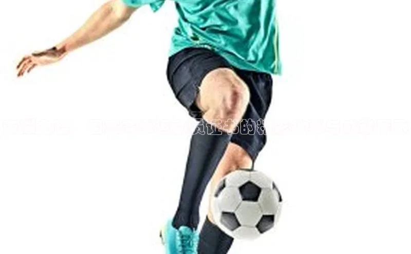 ayx游戏官网入口