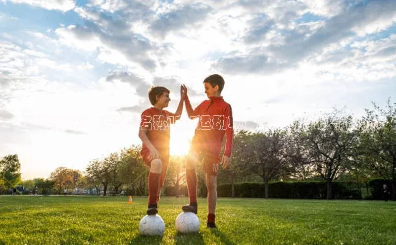 ayx爱游戏·官方网页