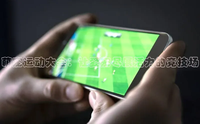萌宠运动大会：让爱宠尽展活力的竞技场